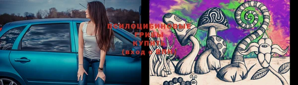 ГАЛЛЮЦИНОГЕННЫЕ ГРИБЫ Алексеевка