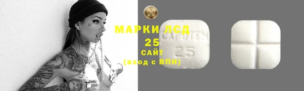 прущие крисы Приозерск