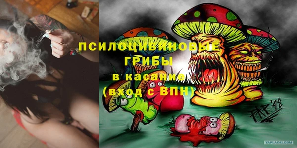 ГАЛЛЮЦИНОГЕННЫЕ ГРИБЫ Алексеевка
