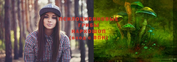 ГАЛЛЮЦИНОГЕННЫЕ ГРИБЫ Алексеевка