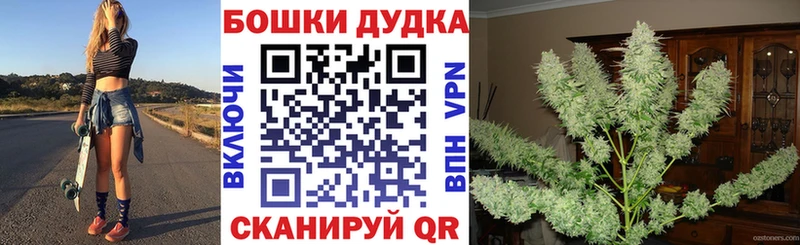 Бошки Шишки семена  Самара 