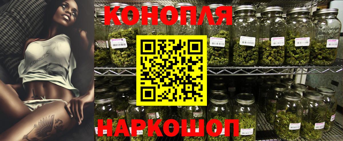 Бошки марихуана семена  Канабис OG Kush  Вход с VPN  Самара 
